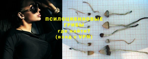 mdpv Зеленокумск
