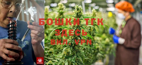 мдпв Иннополис