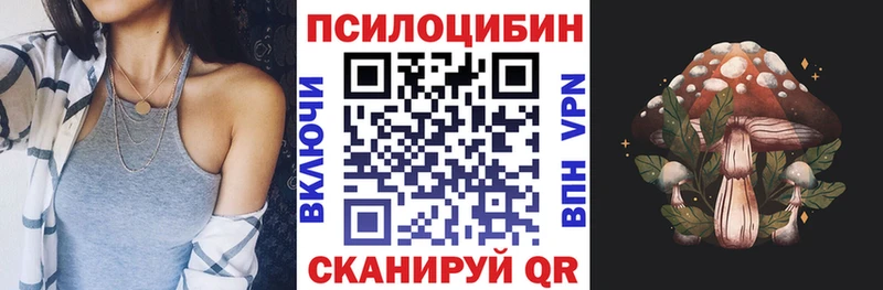 Галлюциногенные грибы Psilocybe  Купить закладки  Скопин 