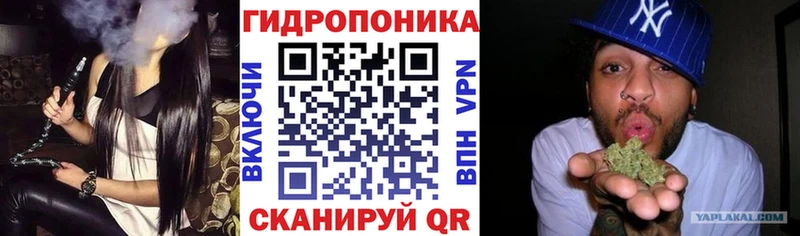 Купить  Скопин  Бошки марихуана Amnesia 
